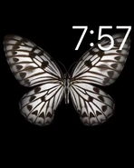 MotionButterflyWatchFace