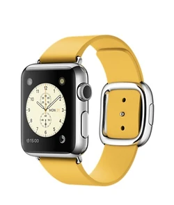 Stainless Steel Case