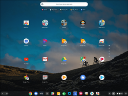 ChromeOS