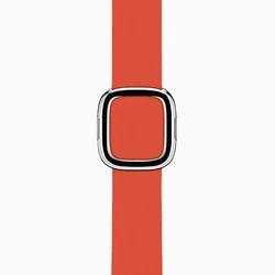 Red Modern Buckle Band