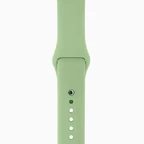 Sport-band-mint-201603.jpeg (12 KB) Mint Sport Band