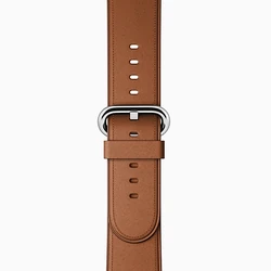 Brown Classic Buckle Band