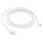Lightning USB cable.