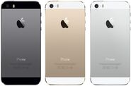 iPhone 5s in all three color options.