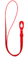 Red (for (PRODUCT)RED iPod touch)