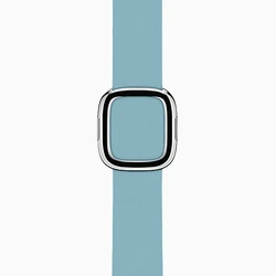 Blue Jay Modern Buckle Band
