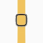 Modern-band-marigold-201603.jpeg (23 KB) Marigold Modern Buckle Band