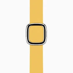 Marigold Modern Buckle Band
