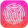 Developer capabilities icon touchid