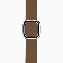 Brown Modern Buckle Band