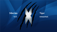 Siberian Tiger banner