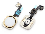 Touch ID sensor on iPhone 6.