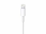 Lightning (connector)
