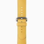 Classic-band-marigold-201603.jpeg (29 KB) Yellow Classic Buckle Band