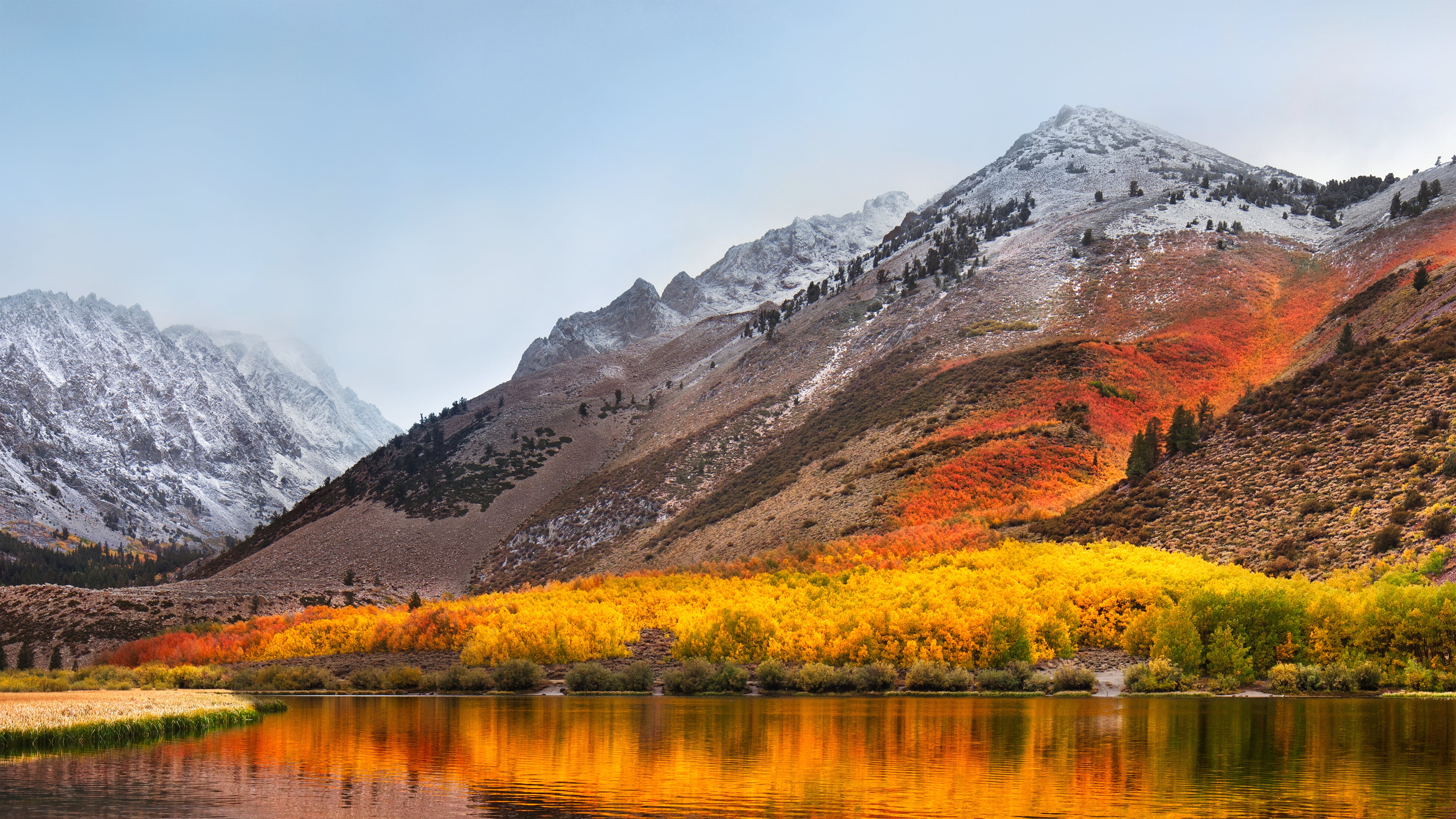 does high sierra 10.13.1 work with final cut pro x 10.3.4