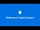 Apple Support