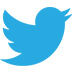 Twitter icon.jpg