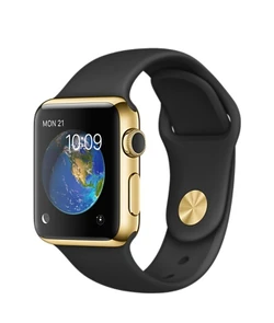 Yellow Gold Case