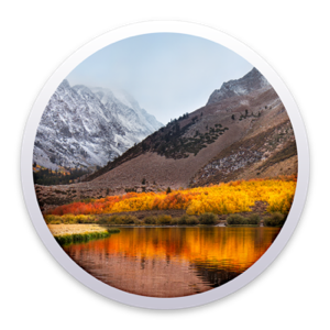 mac os high sierra beta download