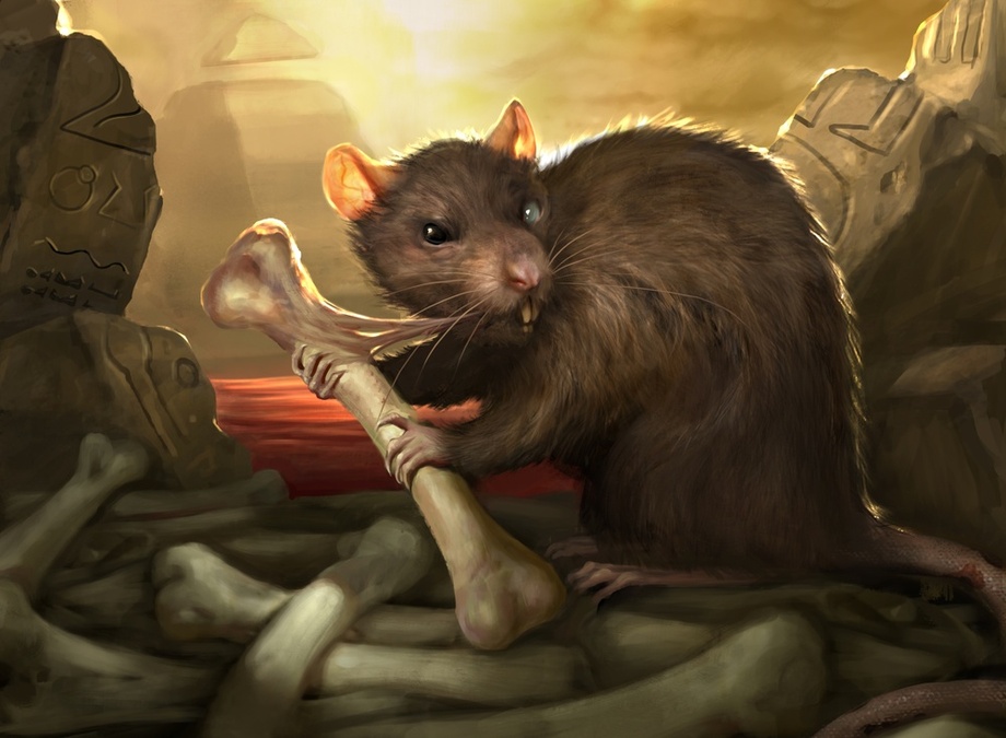 Piège à rats — Wikipédia