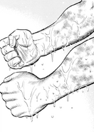 Miyata's arms after fighting Ippo in their first spar.