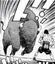 Bison Charging