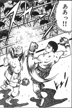 Ryūichi Hayami, Wiki Ippo