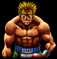 Hawk - PS3 - 001