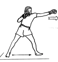 Jab long avec le tronc de profil