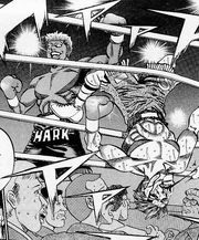 Bryan Hawk - Past Opponent