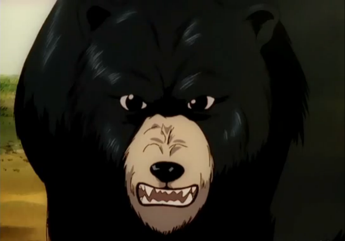 Kuma Kuma Kuma Bear (Anime) | Kuma Kuma Kuma Bear Wiki | Fandom