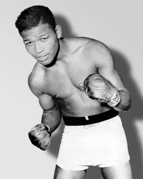 Sugar Ray Robinson | Wiki Ippo | Fandom