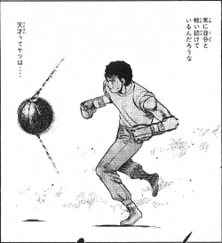 Ryūichi Hayami, Wiki Ippo