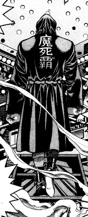 Mashiba's Boxing Robe