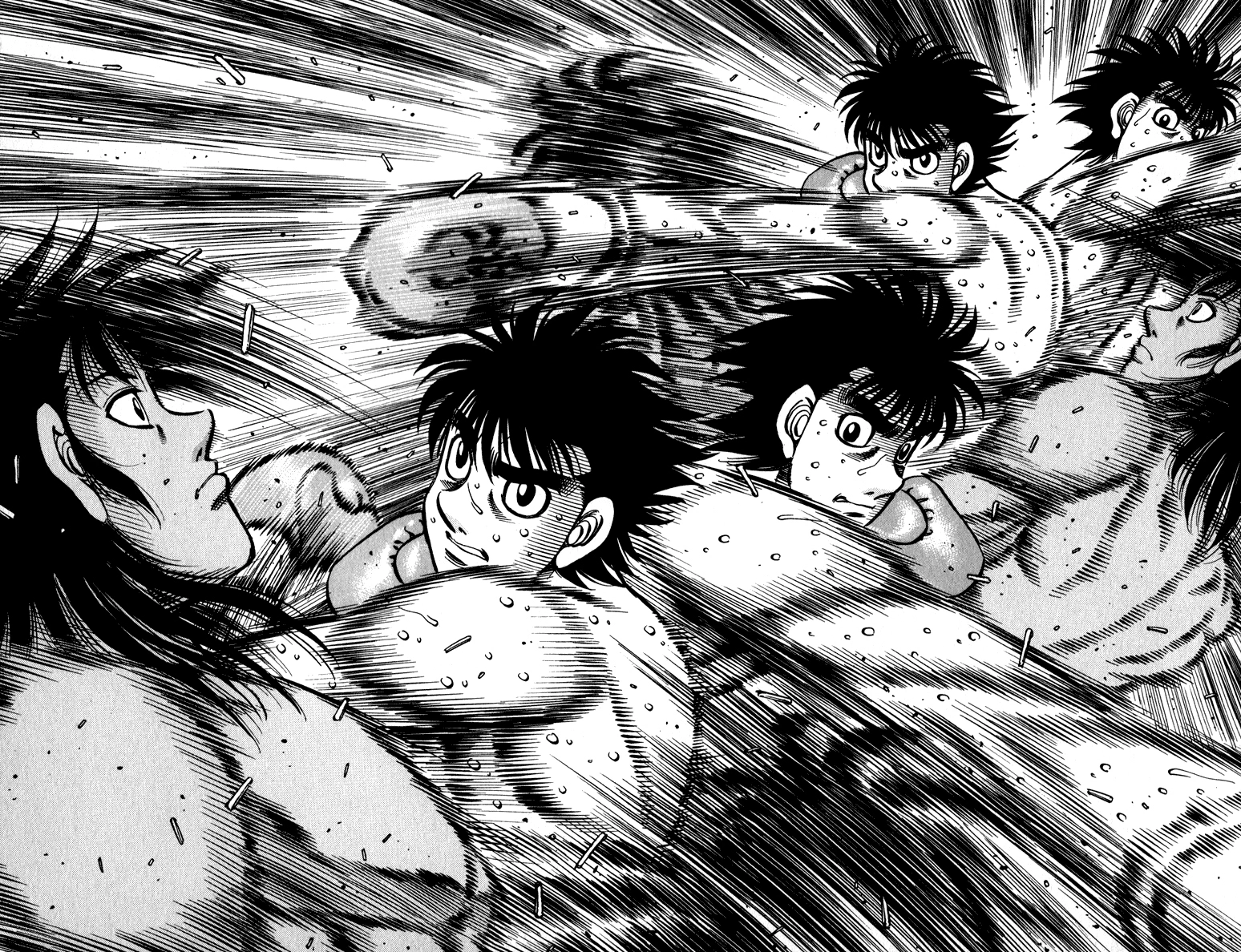 Wally, Wiki Ippo