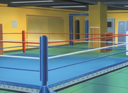 Kamogawa Boxing Gym Ring