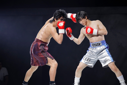 Real Fighting Hajime no Ippo: The Glorious Stage!!