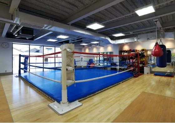 Jb sports gym equipment Clearance