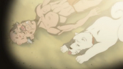 Nekota and Hachi passed out at the beach