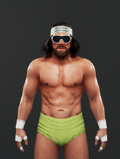 Randy Savage | WWE 2K Wiki | Fandom