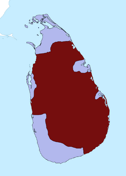 Kingdom of Kandy.svg (1).png