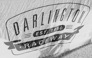 Darlington2015logog9