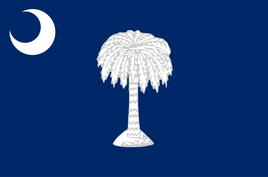 800px-Flag of South Carolina (1861)