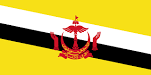 Download (25).png