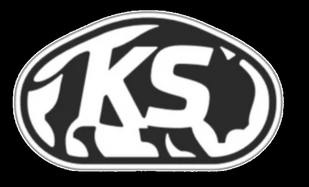 Kansaspresent2024logobisong2