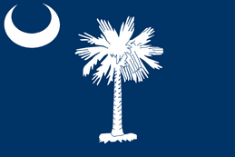 Flag of South Carolina (1861-1910)