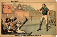 "Another Knockdown!", Weekly Freeman, 11 May 1889