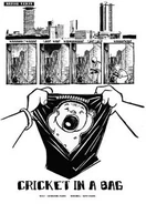 Cricketinabag.jpg (23 KB) "Cricket in a Bag" (2008)