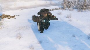 Up-close in the snow
