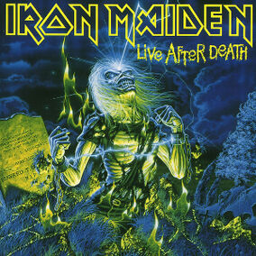 邦楽 PictureLP Iron Maiden - Live after death Iron Maiden – Live After Death – 2 x Vinyl (Jacksonville